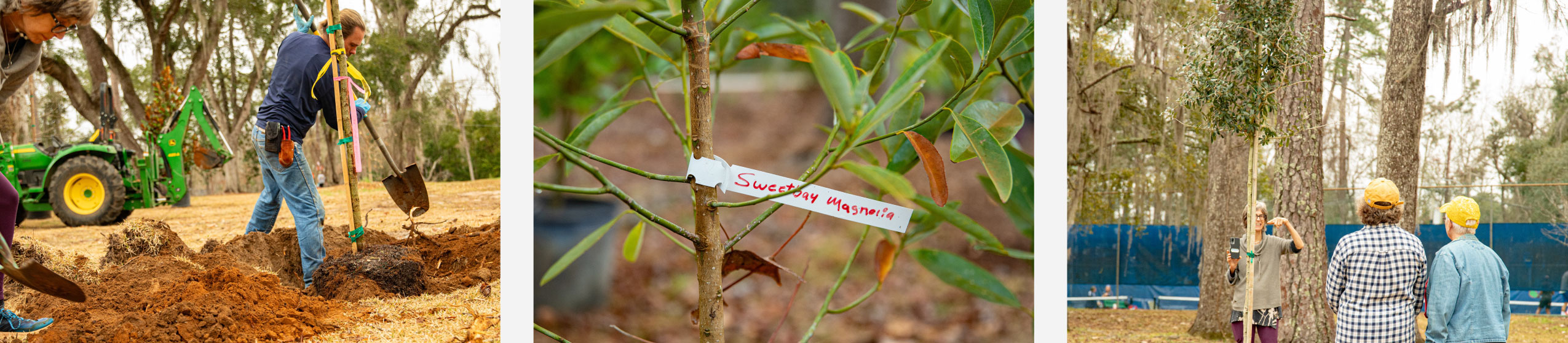 Tree planting at Myers Park